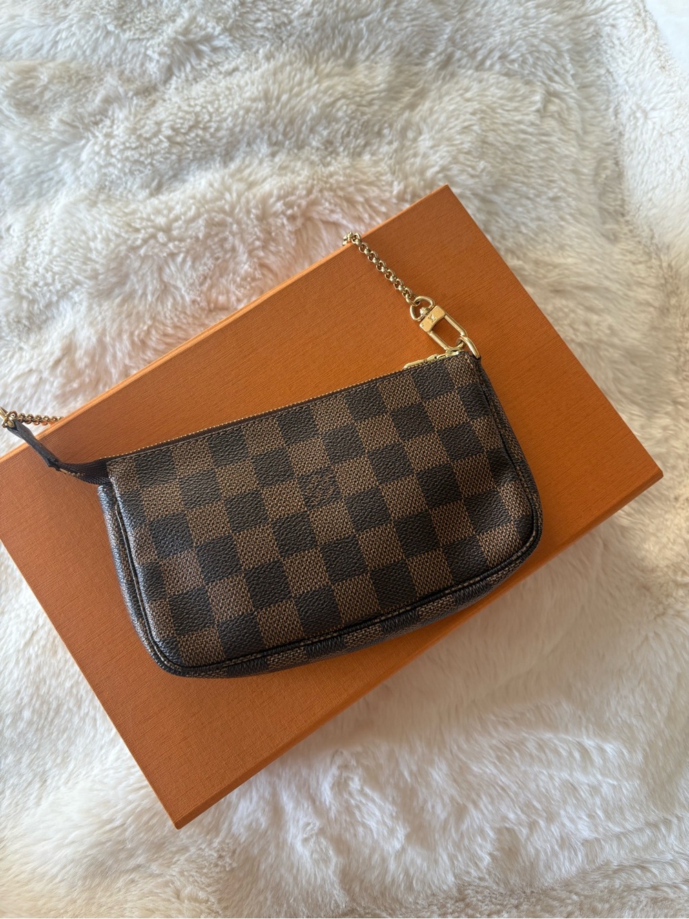 Louis Vuitton Mini Pochette Accessoires